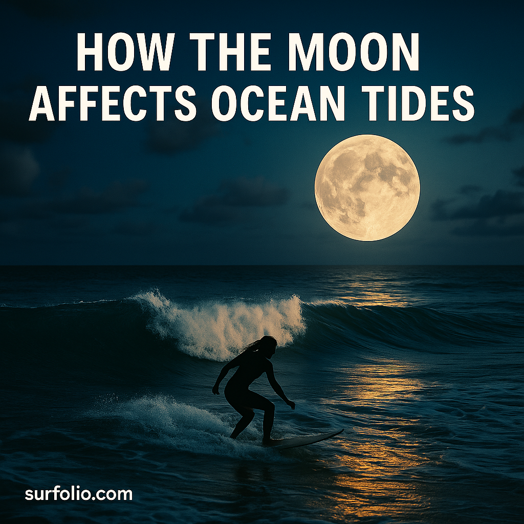 The moon shining over the ocean at night with its light reflecting on calm waves, symbolizing its effect on ocean tides.